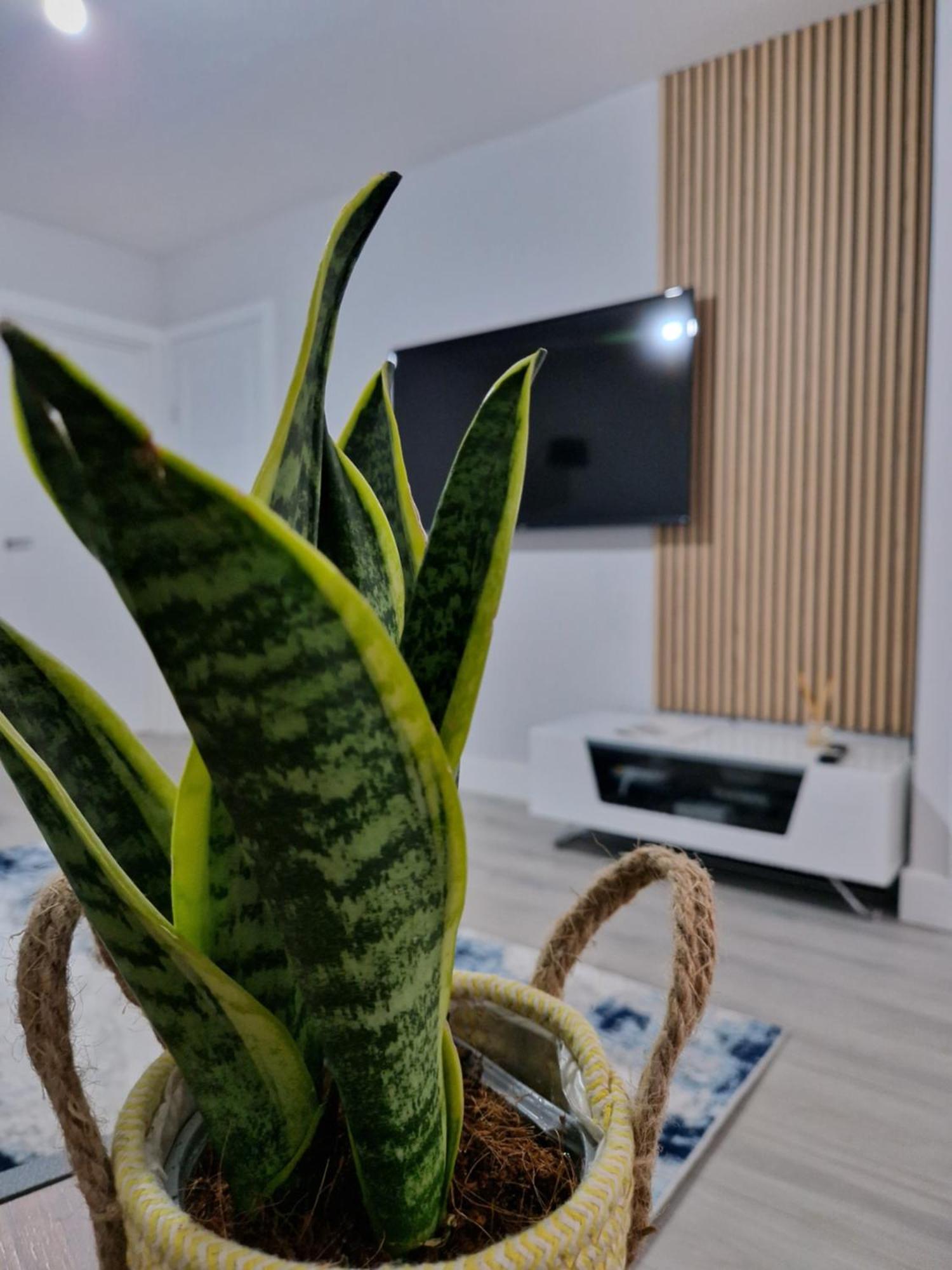 Stylish 2 Bed Home- Short Walk To Tottenham Stadium/Stations London Eksteriør billede